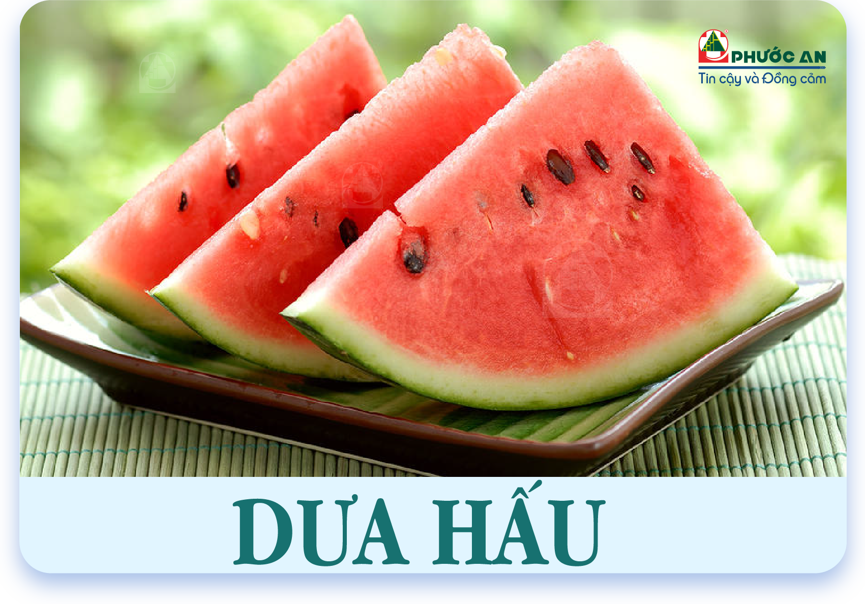dua-hau-watermelon