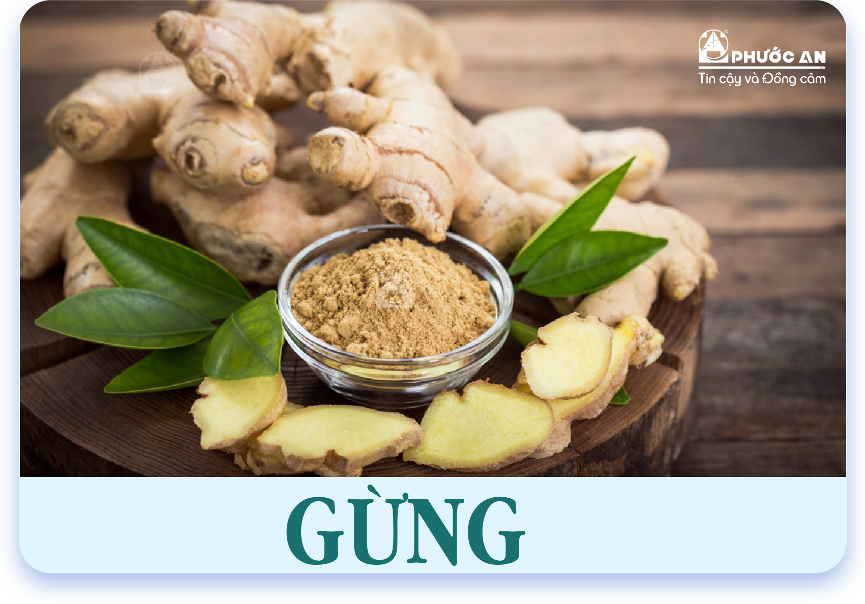 gung-ginger