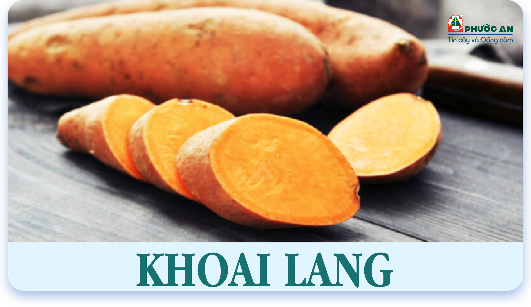 khoai-lang-sweet-potatoes