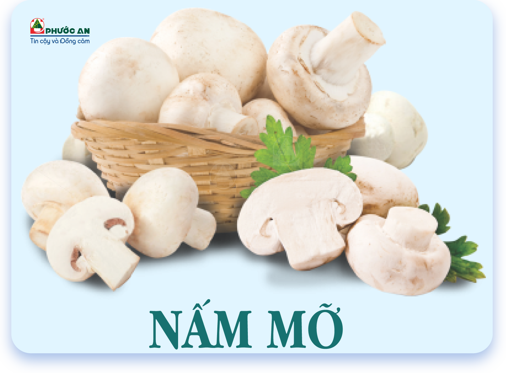 nam-mo-button-mushroom