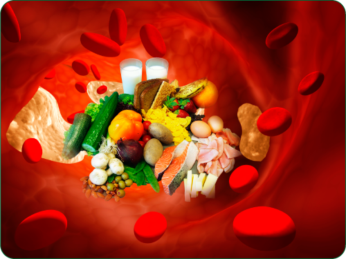 protein giúp giảm nguy cơ cao huyết áp