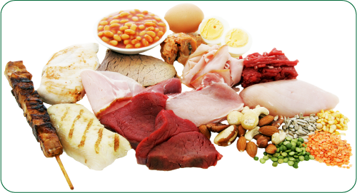 protein tốt cho xương