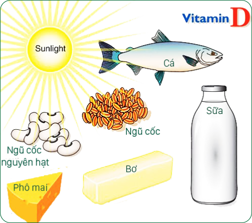 thực phẩm chứa vitamin D