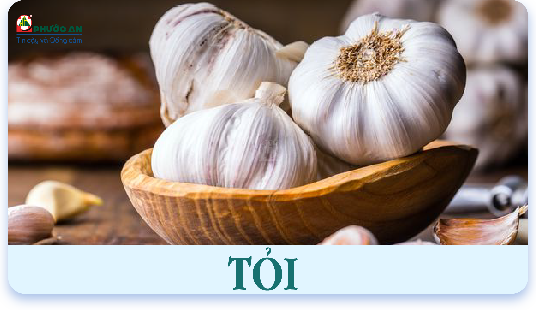 toi-garlic
